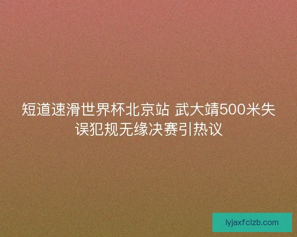 短道速滑世界杯北京站 武大靖500米失误犯规无缘决赛引热议